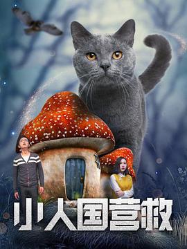 服装形象代言人