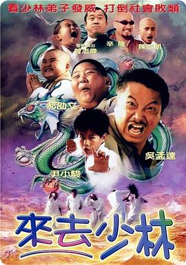 成人a视频