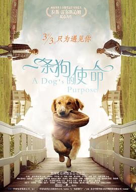 国产精品一区久久