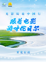五码在线