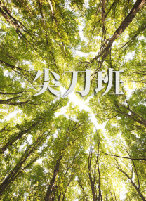 飞拉达是什么意思