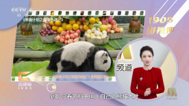 被继夫调教成禁脔h高h视频